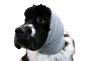 Preview: Show Tech Ear Buddy (Ohrenschutz)